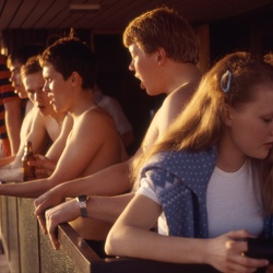 1981
